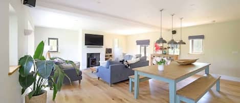 TV, lareira, aparelho de som, escritórios