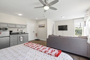 1 bedroom, desk, iron/ironing board, free WiFi