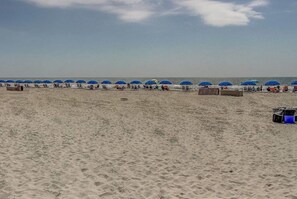 A beach with rows of blue umbrellas and beach chairs.