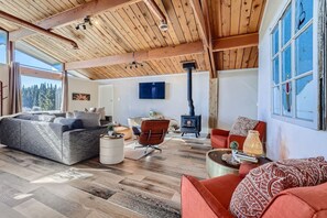 TV, fireplace, video games