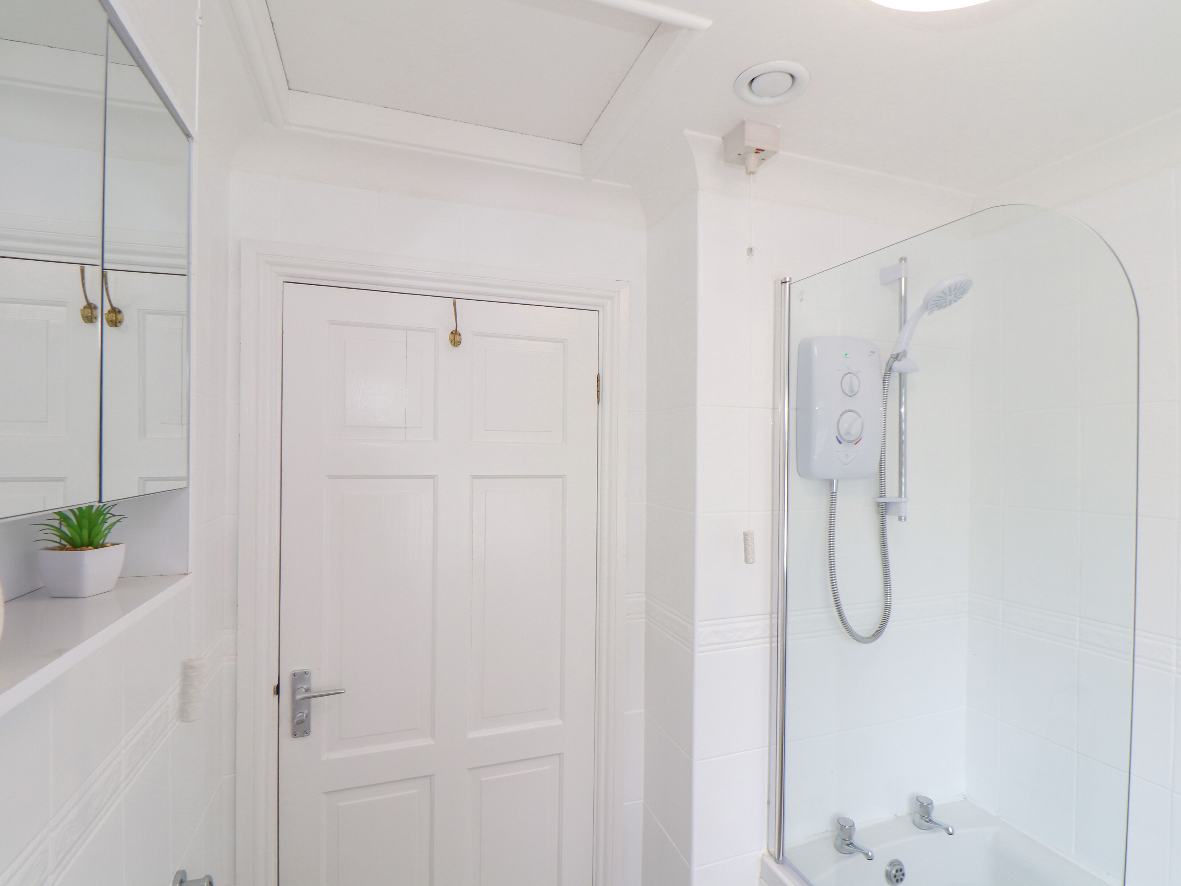 A bathroom with a white door, a shower with a glass enclosure, and a small potted plant on the wall.