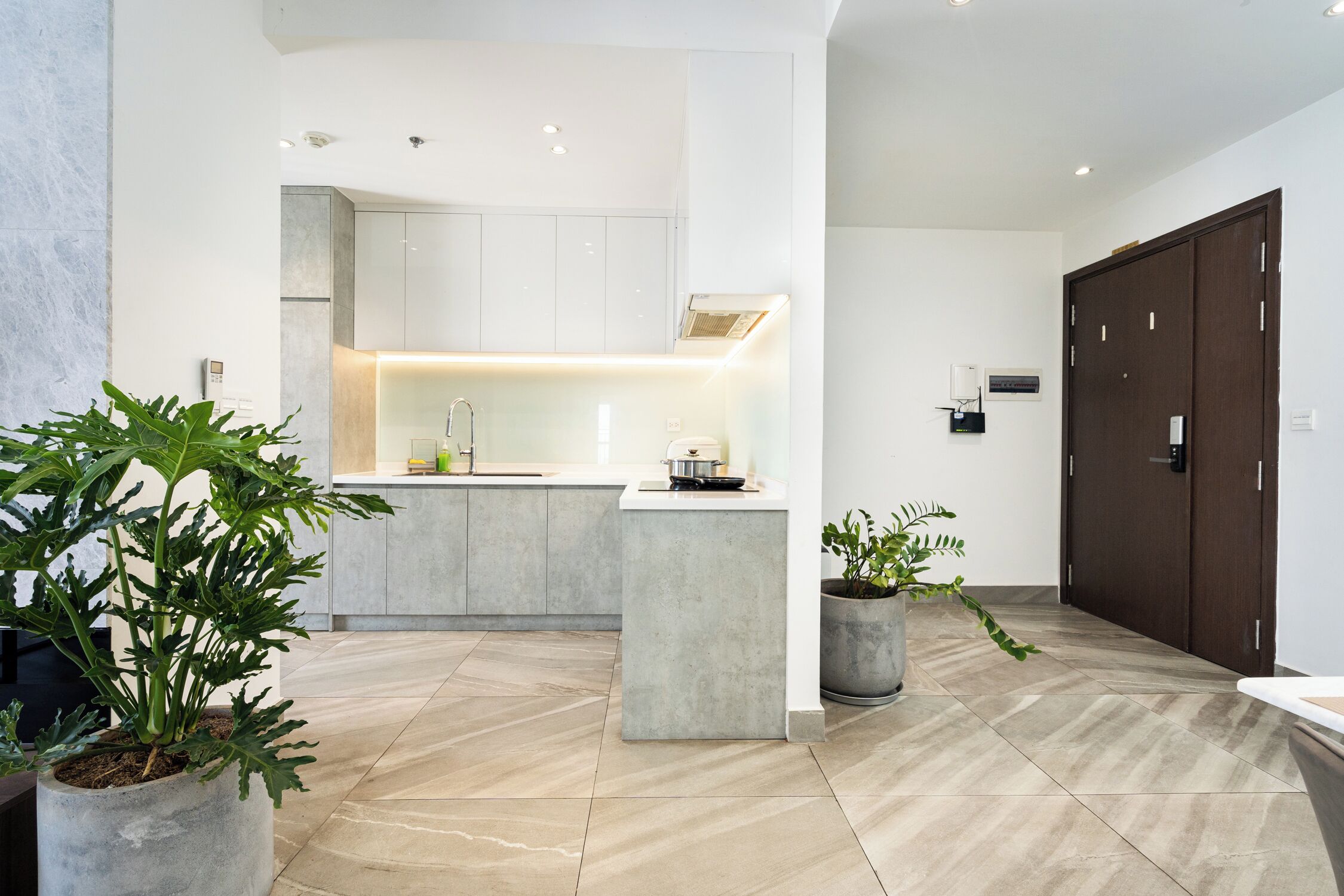 A modern kitchen with a central island, a potted plant, and a large wooden door.
