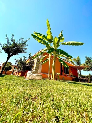 Property grounds - 2 bedroom villa in noto (noto)