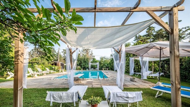 A covered outdoor area with a pool, lounge chairs, and a table with a potted plant.