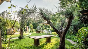 A garden with a picnic table, a barbecue area, and a covered seating area.