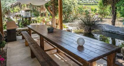 House of the Grapevine - Giuliana