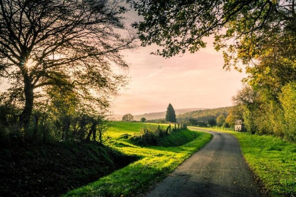 Une route de campagne bordée d’arbres et de champs, qui mène à un bâtiment situé au loin.