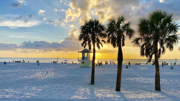 A beach with palm trees, a lifeguard tower, and people in the distance. - Paradise on the Wheels Clearwater Beaches (Largo)