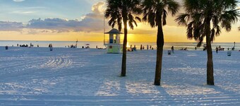 Paradise on the Wheels Clearwater Beaches