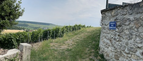 Terrain de lâhĂ©bergement