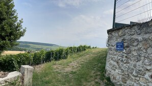 A stone wall with a sign, a grassy path, and a vineyard in the background. - Holiday Home 'Chez Brigitte' with Private Terrace, Wi-Fi and Air Conditioning (Chatillon sur marne)
