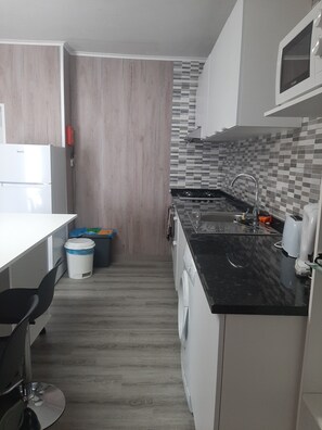 Fridge, microwave, oven, stovetop - Casa Vicente Apartment with Sea View and Private Garden (Cedros)