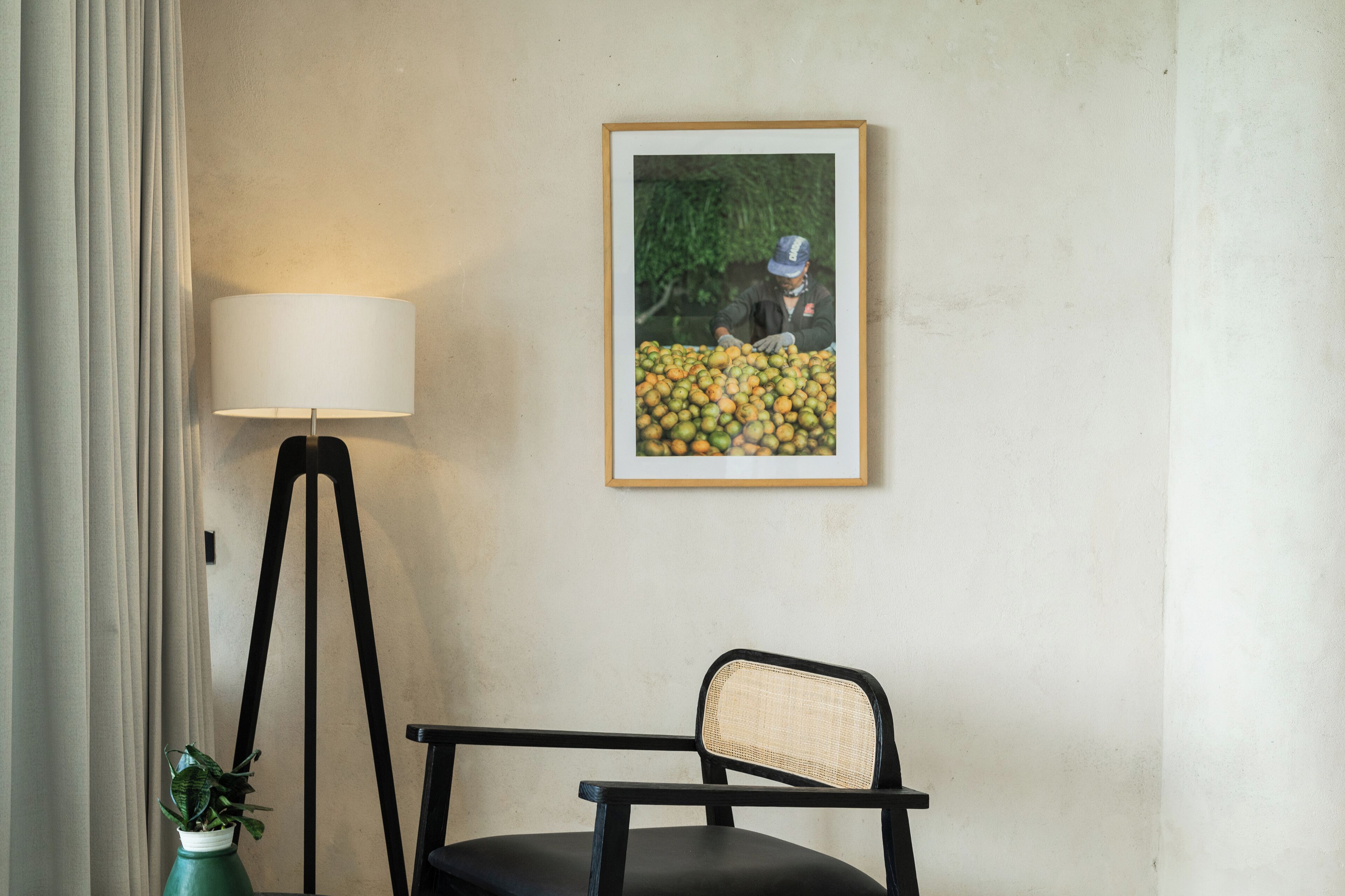 A room with a floor lamp, a framed picture on the wall, a chair, and a potted plant.