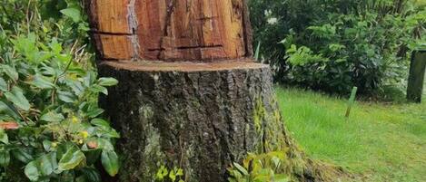 Overnatningsstedets område