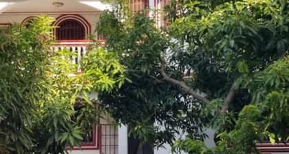 La Difference Guesthouse
Economical/Comfortable/Gorgeous/20 mins -Center/Airport