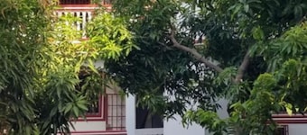 La Difference Guesthouse
Economical/Comfortable/Gorgeous/20 mins -Center/Airport