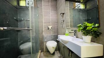 Shower, hair dryer, bidet, towels