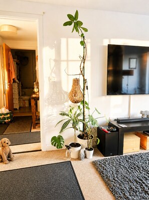 A living room with a TV, a sofa, a coffee table, and a potted plant.
