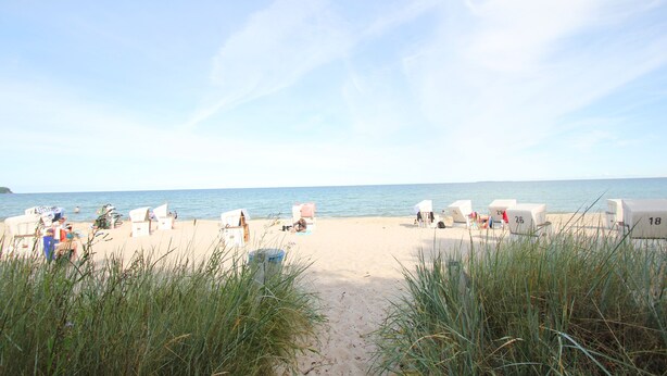 A beach with rows of numbered beach chairs and umbrellas, a sandy path leading to the water, and tall grass in the foreground. - Appartementanlage Eldena Wohnung Nr. 10 (Mönchgut OT Lobbe)