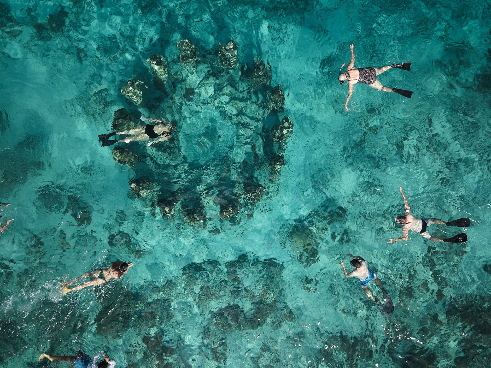 An aerial view of a clear turquoise pool with multiple swimmers.