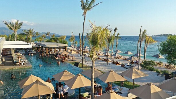 Zona de piscina con sombrillas, palmeras y vista al mar.
