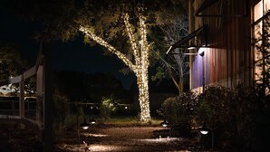 A pathway leading to a building with a tree wrapped in lights, surrounded by shrubs and a wooden fence. - 8Sages*Texas Forever*Sleeps 6*Private Plunge Pool (New Braunfels)
