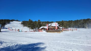 Sneeuw- en skisporten