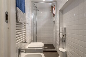 Shower, hair dryer, bidet, towels