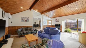 Télévision, cheminée, lecteur de DVD