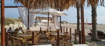 Appartement Bord de L'océan-plage au Pied de la Résidence