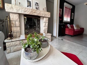 TV connectée, cheminée, livres, chaßne hi-fi