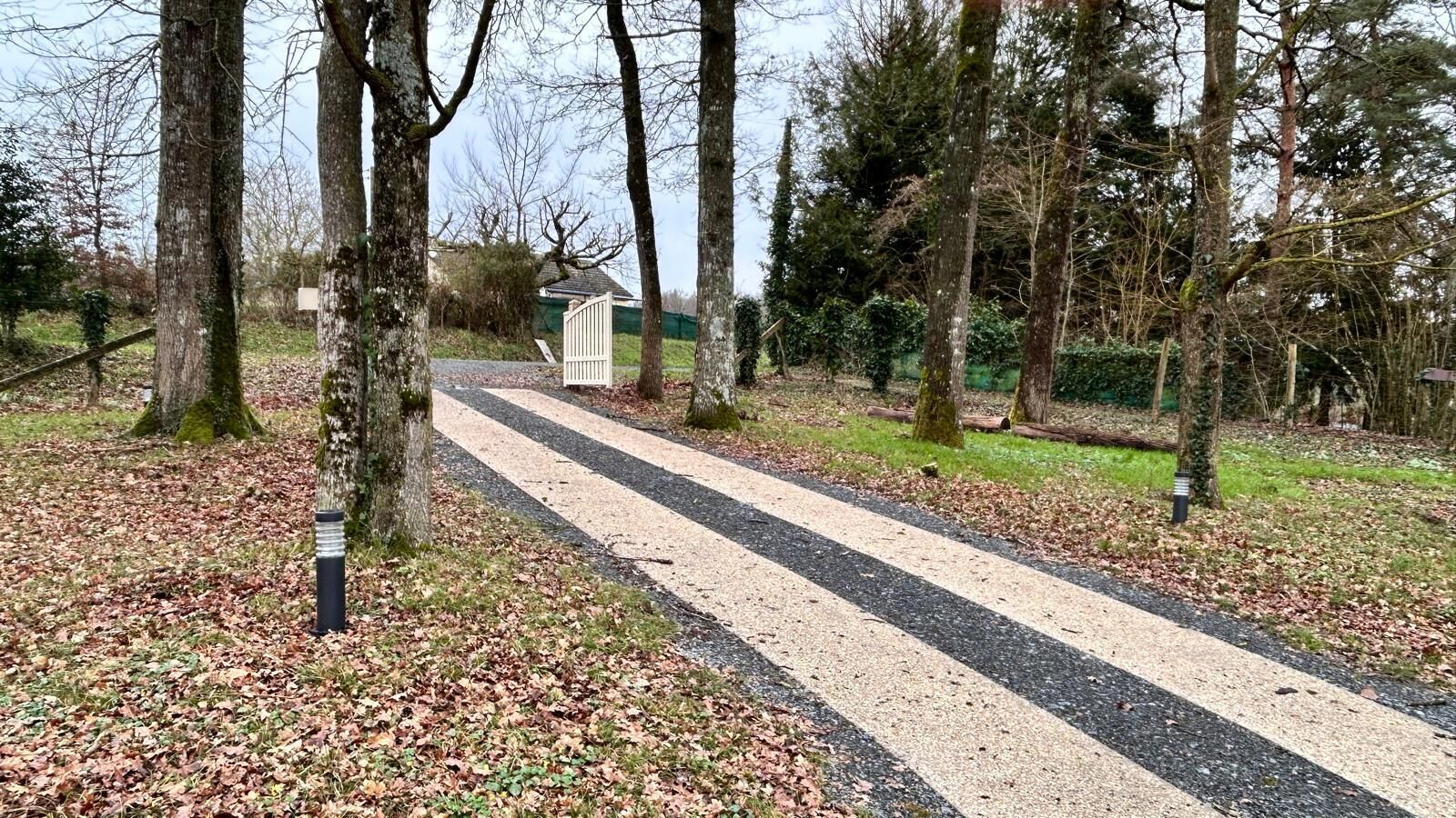A gravel path with trees on either side, leading to a small building.