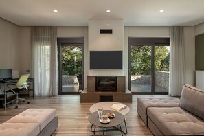 Smart TV, fireplace, DVD player, books