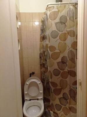Shower, towels, soap, toilet paper