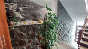 En stenvæg med en hylde, hvor der står krukker med planter og en pære.