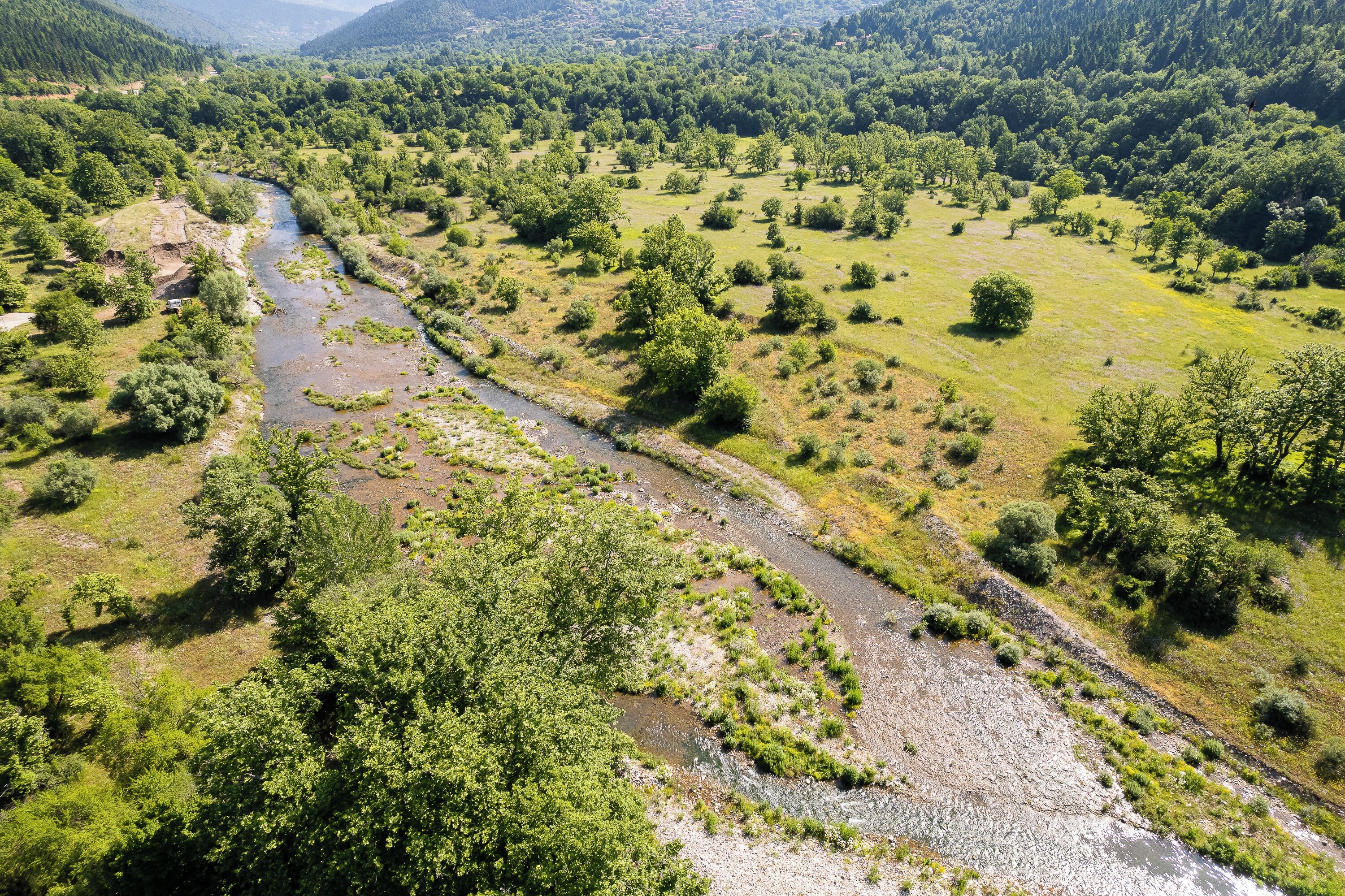 A river winding through a valley with dense greenery and scattered trees.