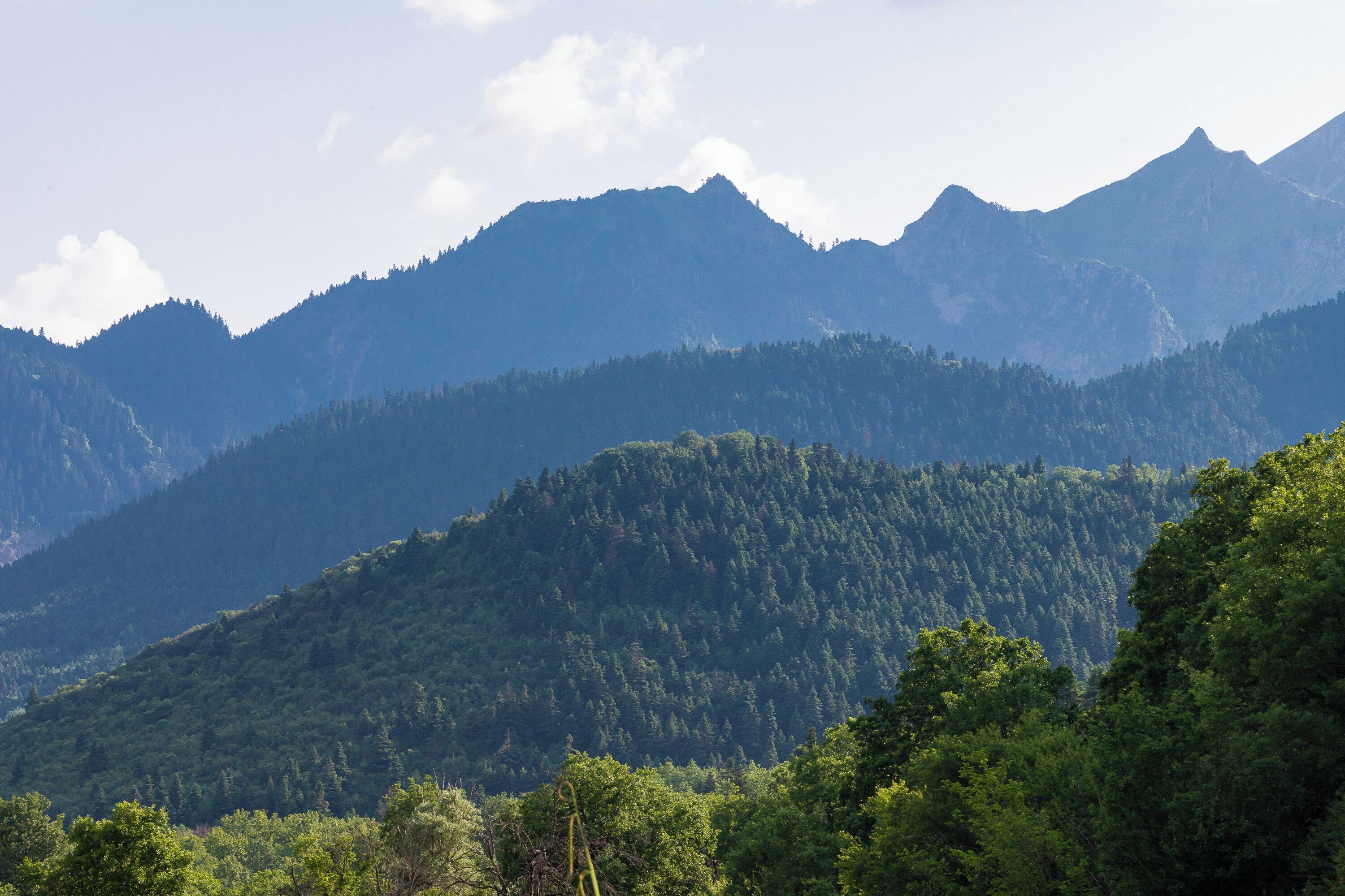 Paisagem montanhosa com colinas florestadas e densas.