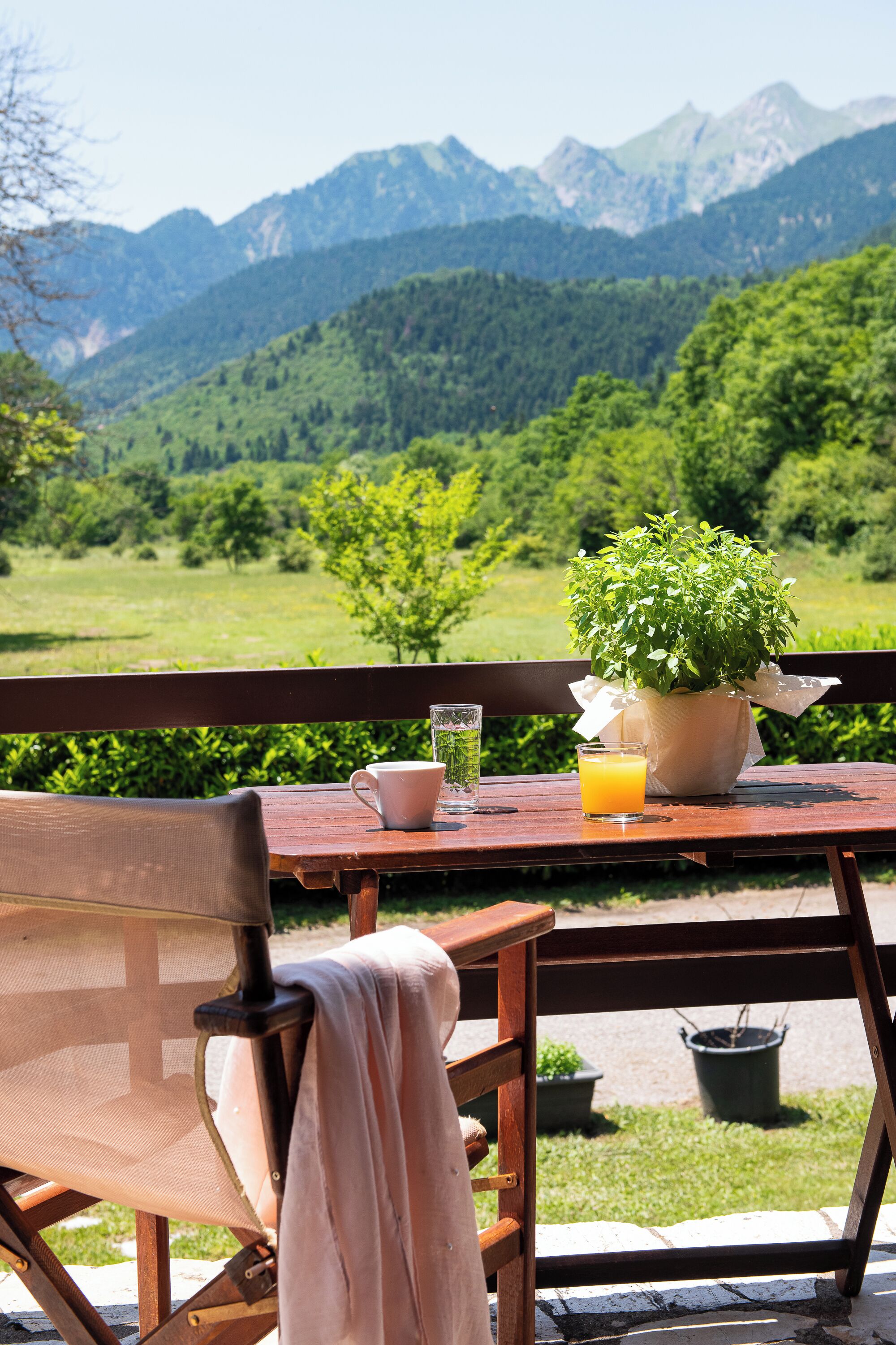 A wooden table with a potted plant, a glass of orange juice, and a cup.