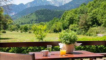 Basic Chalet | View from room