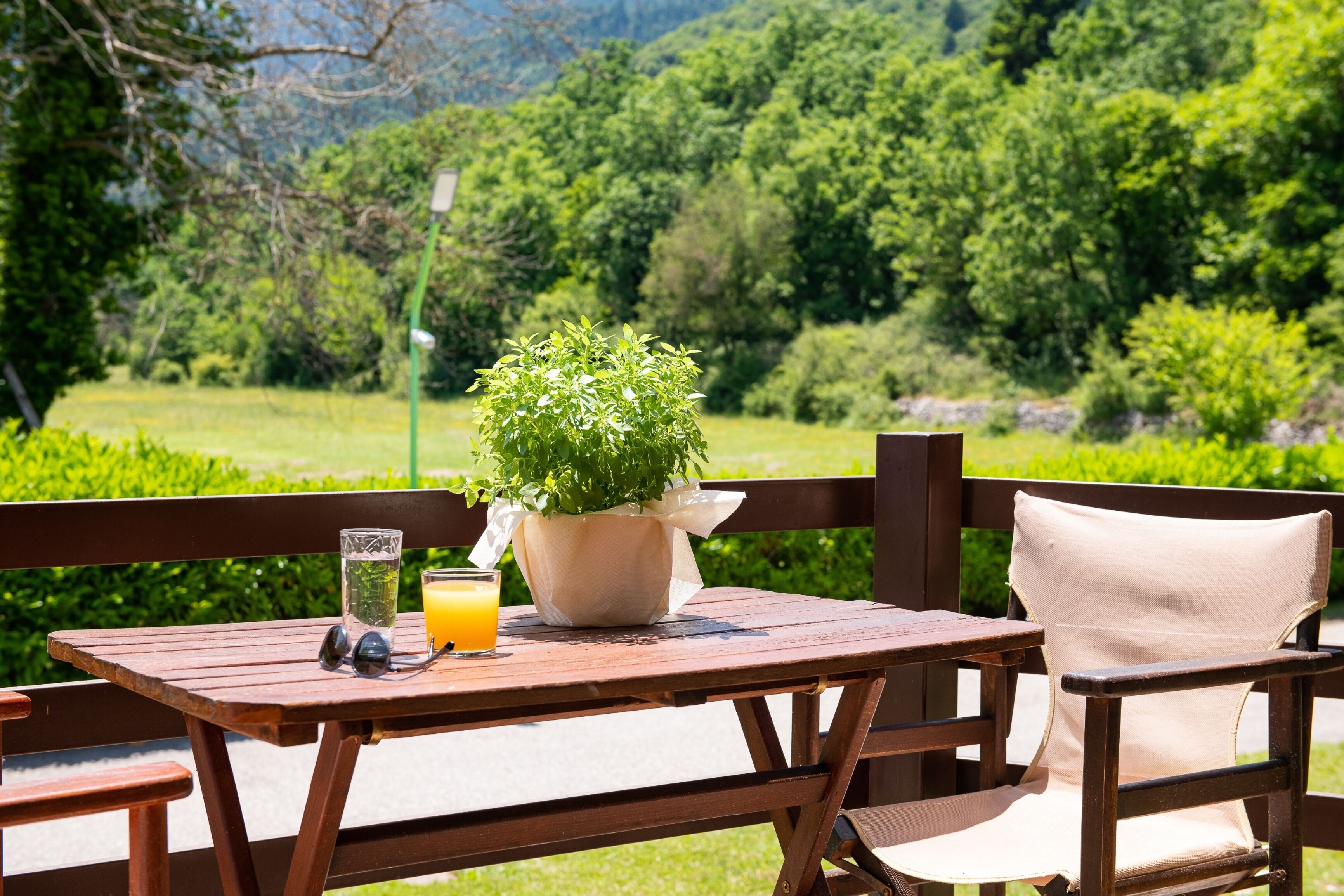Une table en bois, sur laquelle se trouvent un pot de plante et un verre de jus d’orange.