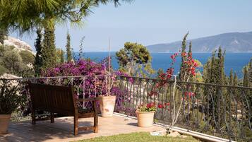 Terras