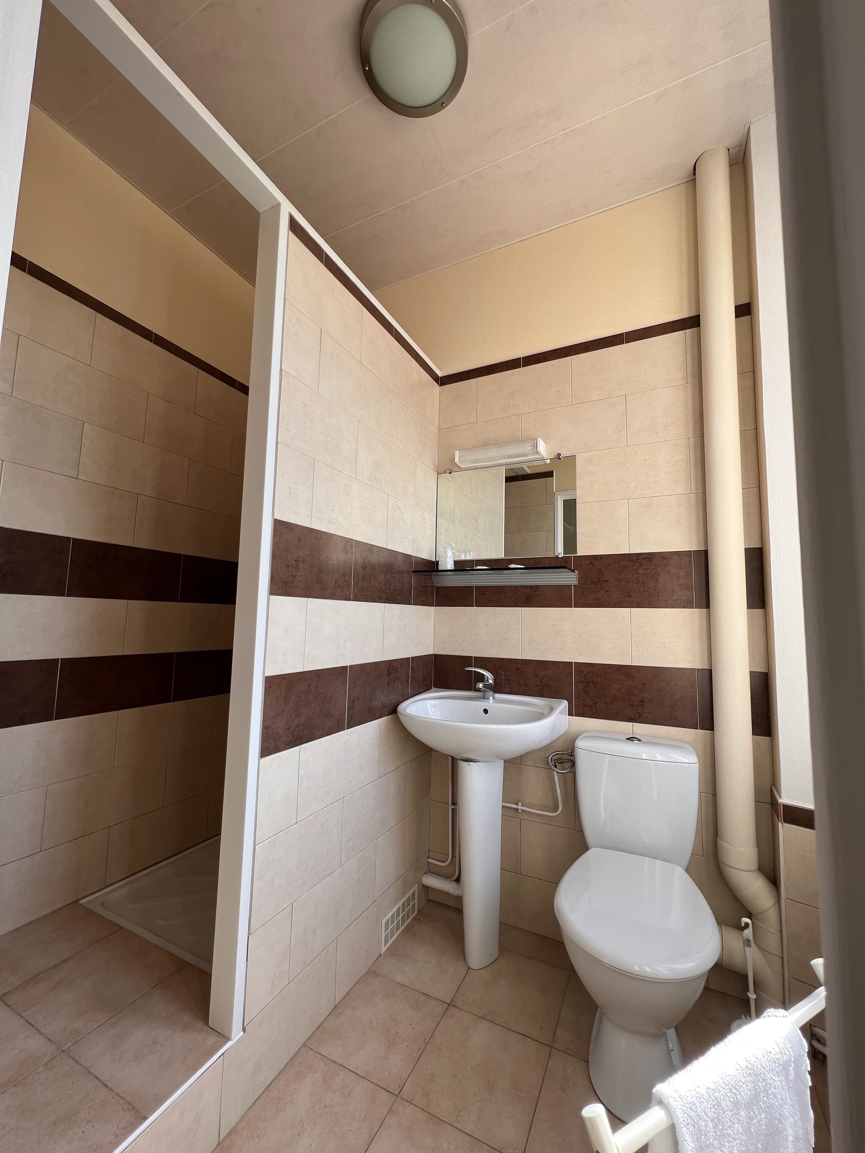 A bathroom with a sink, toilet, and a mirror.