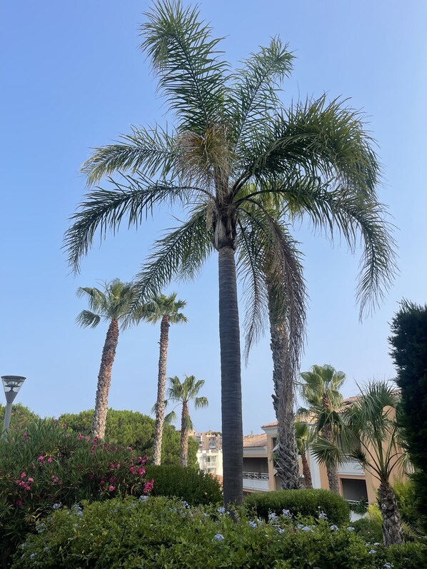 Parco della struttura