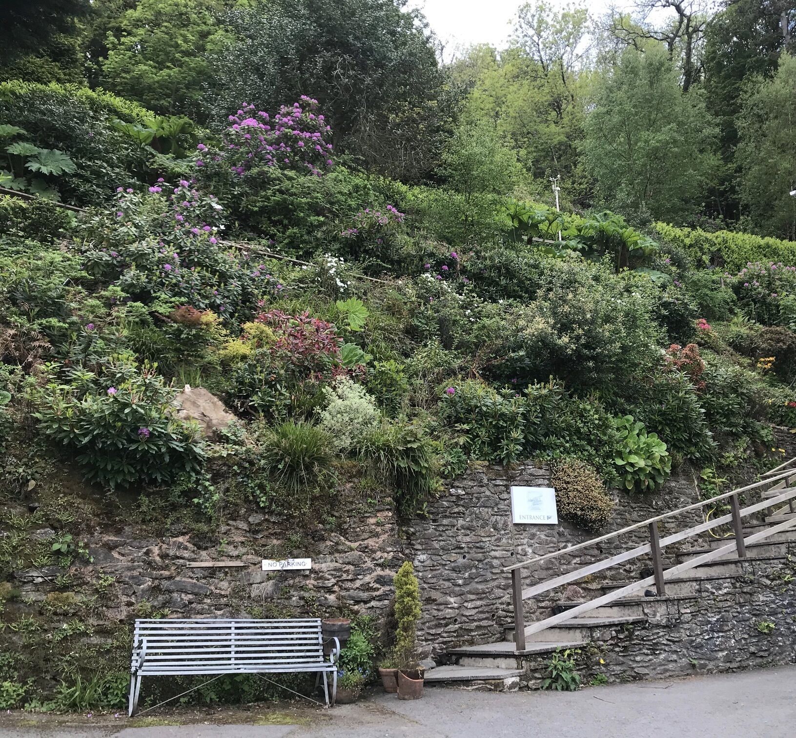 A stone wall with a 'No Parking' sign and an 'Entrance' sign, surrounded by lush greenery and a wooden staircase.
