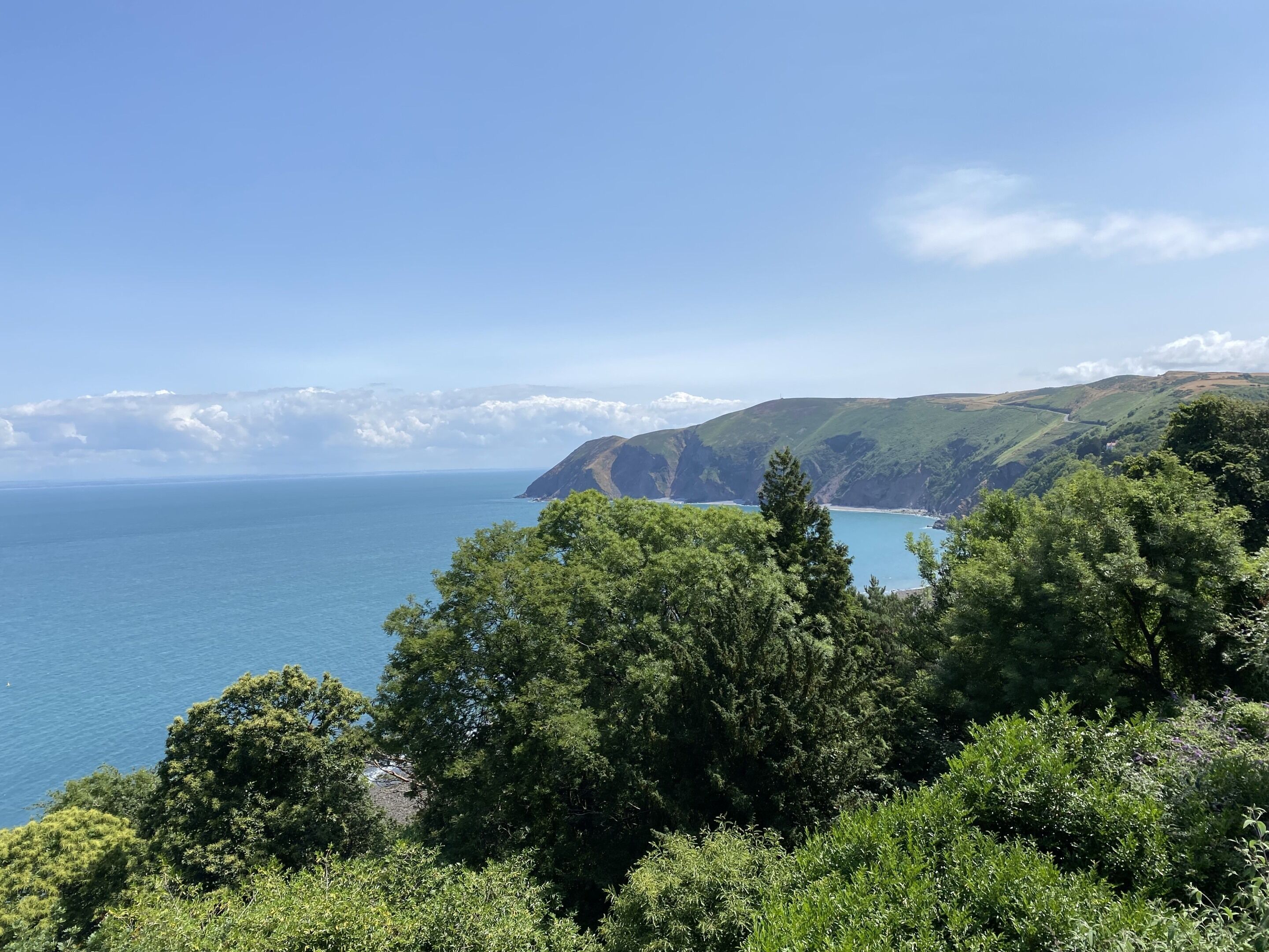 A coastal landscape with a view of the sea, green hills, and dense trees.