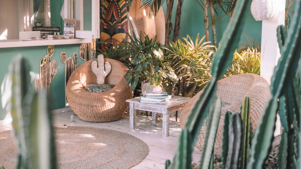 Un espace intérieur accueillant, avec un canapé en osier, une table ronde et diverses plantes.