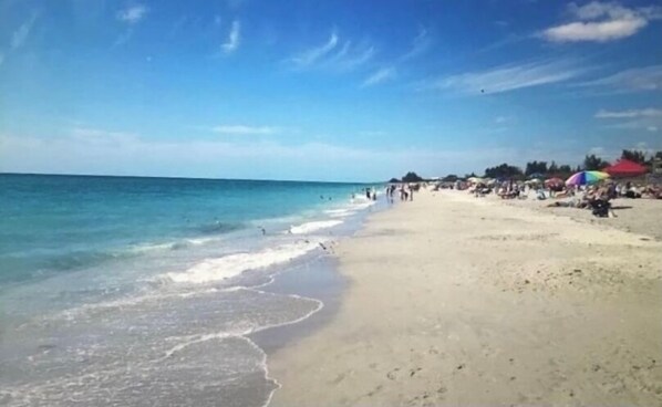 Chaises longues, serviettes de plage