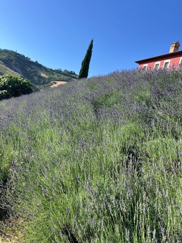 Farmhouse nestled in the nature of the Marche region, 20 minutes from the sea 