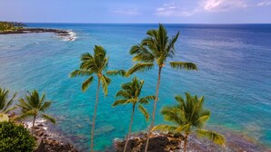 A coastal view with clear turquoise waters, palm trees, and rocky shoreline.