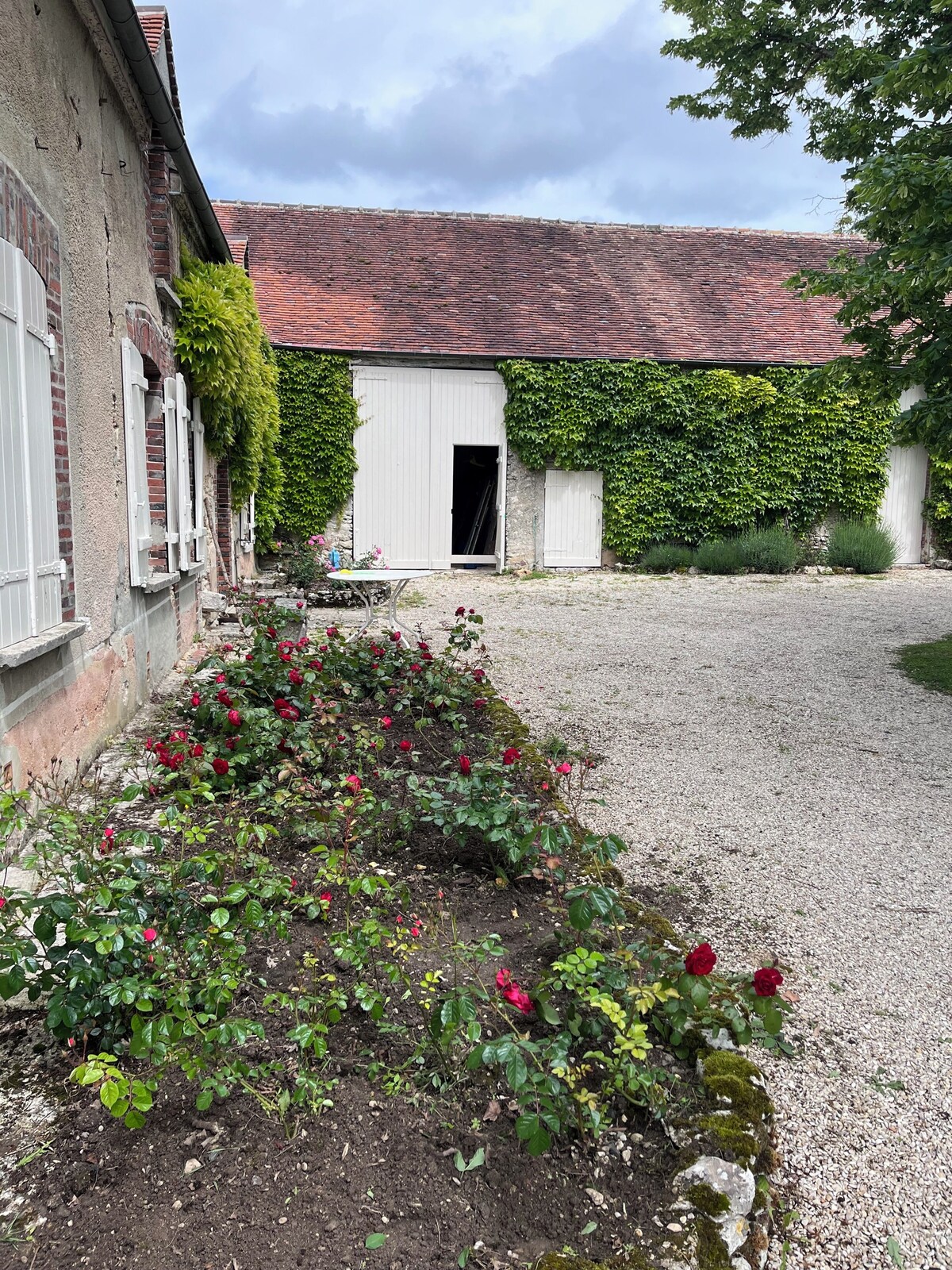 Image de profil de l’hôte